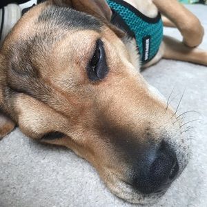 Meet your Posher, Lily-rose